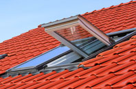 Lower Goldstone roof window